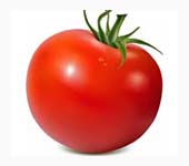 トマト ヘッダー画像